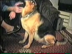 Animal Movie - Dog Fucker