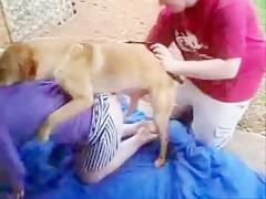 Bestiality - Animal Sex - Dog Very Like To Fuck A Girl Outoor