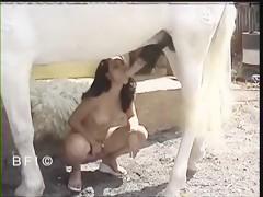 Brazilian girl sucking white horse