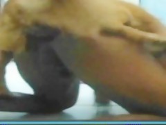 Amateur dog sex video