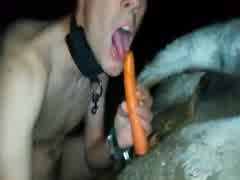 slave boy loves cow fucking and cow scat