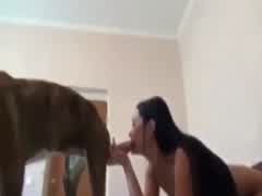 Gorgeous girl sucking dog