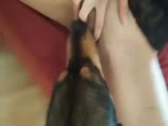 Beautiul girl gets her pussy licked