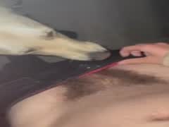 Young boy getting sucker by doggo