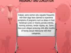 An Introduction to Sex with Dogs, The Ultimate Guide for Women 720p (2022)