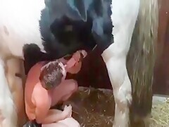 Sweet Blowjob With Cum Of Horse In Mouth