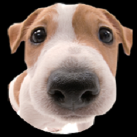 misterdog's Avatar