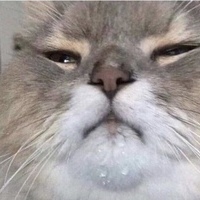 postedcuhz's Avatar
