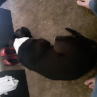 bigdickjones's Avatar