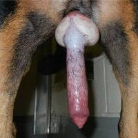 Longjonsilver's Avatar