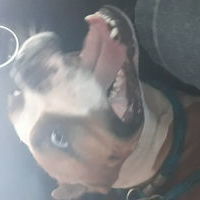 rochavelos's Avatar