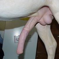 Lonelystud22's Avatar