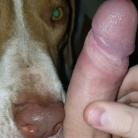 bigcuddlebear's Avatar