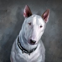 federodrigo's Avatar
