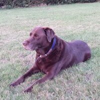 Goodboy1's Avatar