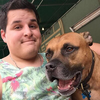 vefoo's Avatar