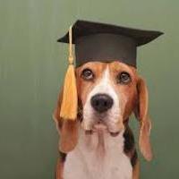 andythedog's Avatar