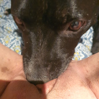 here2play42's Avatar