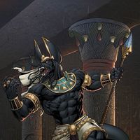 jackal's Avatar