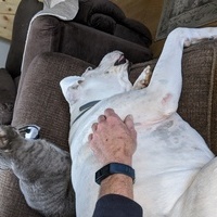 mbhcouple621's Avatar