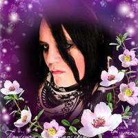 saracuda's Avatar