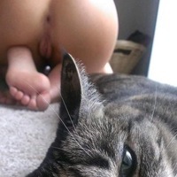 justheretocomment's Avatar