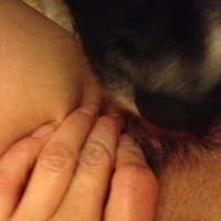 beastielovingcouple's Avatar