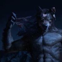Boywolf's Avatar