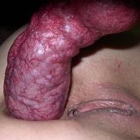 dogplayer48's Avatar