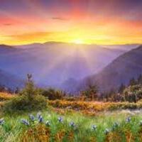 Zoophilialover's Avatar