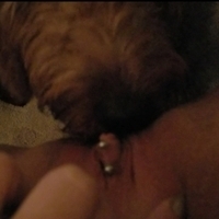 Puppykisses's Avatar