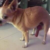 zoofukin69's Avatar