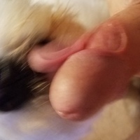 pervyredneck77's Avatar