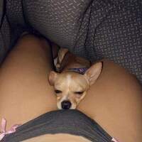 aya_lee's Avatar