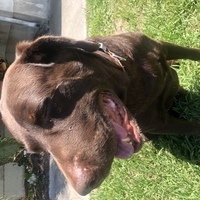 Salem030811's Avatar