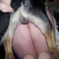 knottygirlcali's Avatar