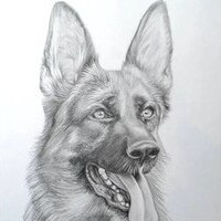 rickyjabba's Avatar