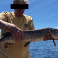olevoyeur's Avatar