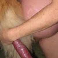 oldman53's Avatar