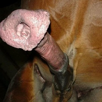 monicatranny's Avatar