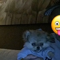 AmsterdamDutchman's Avatar