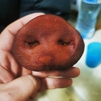 marabut75's Avatar