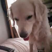 gekko19girlyy's Avatar