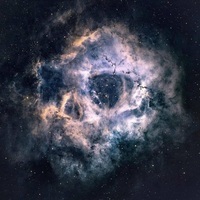 rachell's Avatar