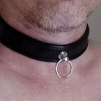 thepervertedthingsidid's Avatar
