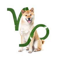 capricorn's Avatar