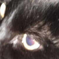 tomb66's Avatar