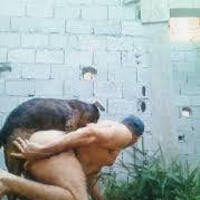 passivopranegrosdogbetoven's Avatar