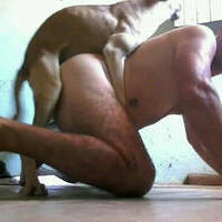 ivanpassivopranegrosedog's Avatar