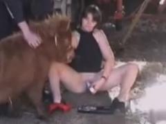 Small pony fucking